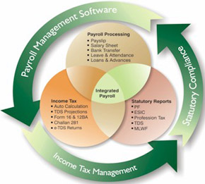 HR Payroll Software